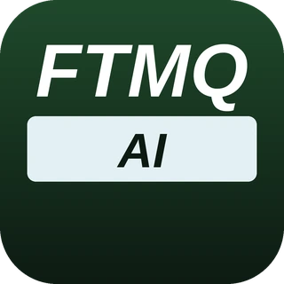 FTMQ AI